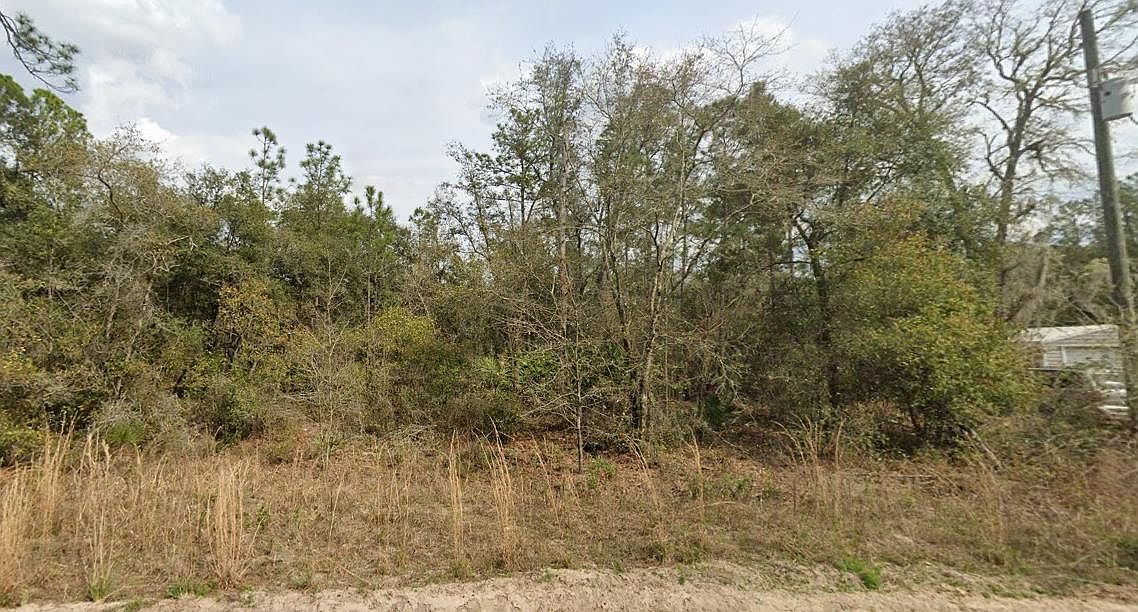 0 Childs Rd #16 Interlachen, FL 32148  | Land/Lot