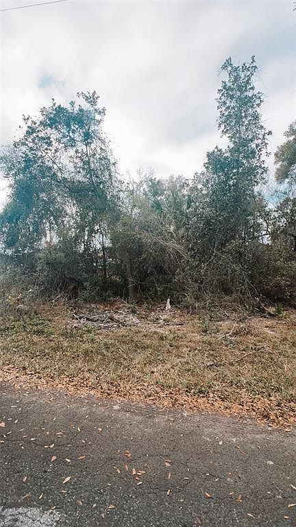 9113 E Royal Palm Dr #38 Inverness, FL 34450 | Land/Lot