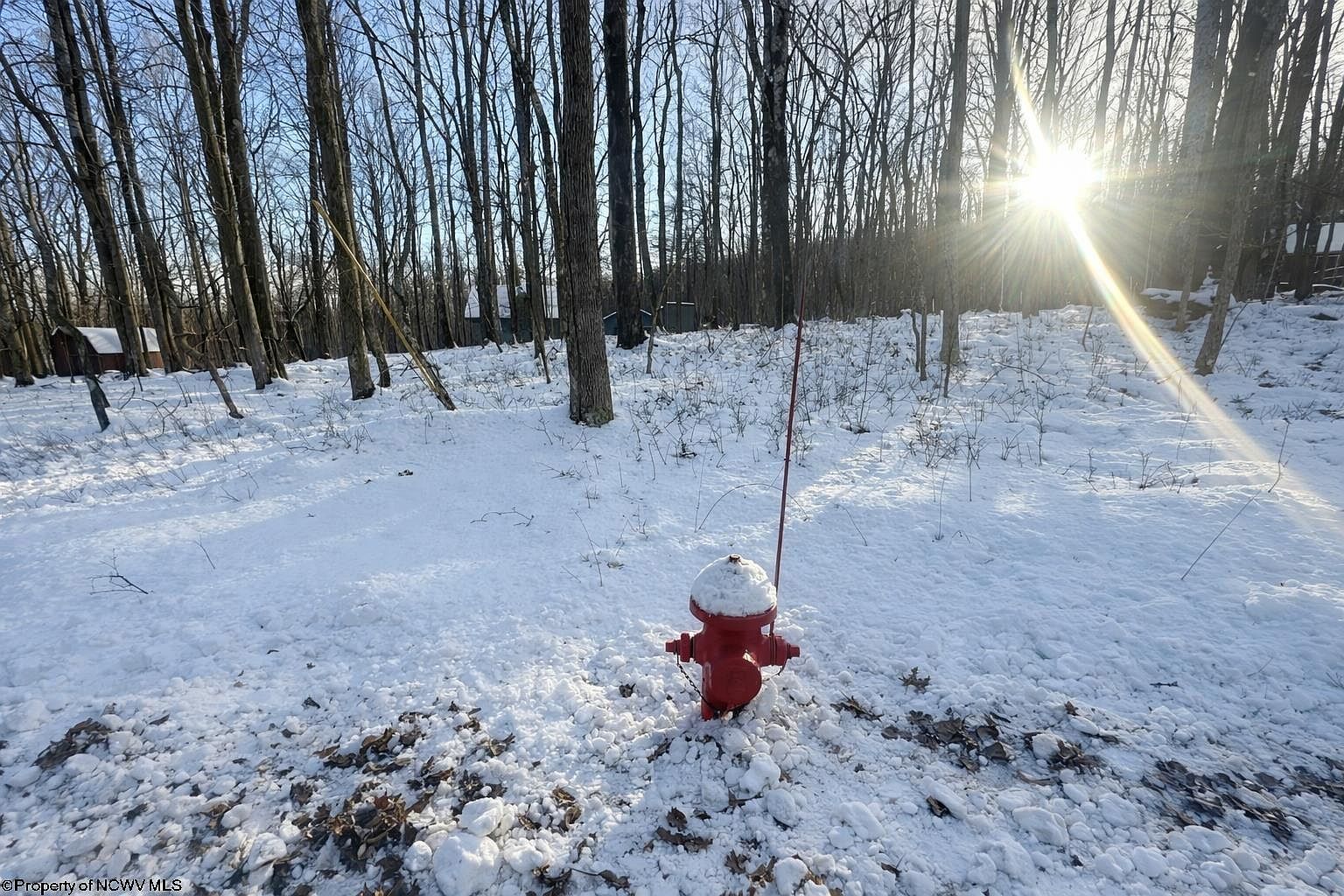 Hemlock Cir Terra Alta, WV 26764 | Land/Lot