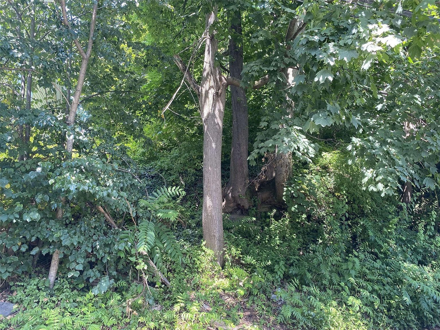 422 Nuber Ave Mount Vernon, NY 10553  | Land/Lot