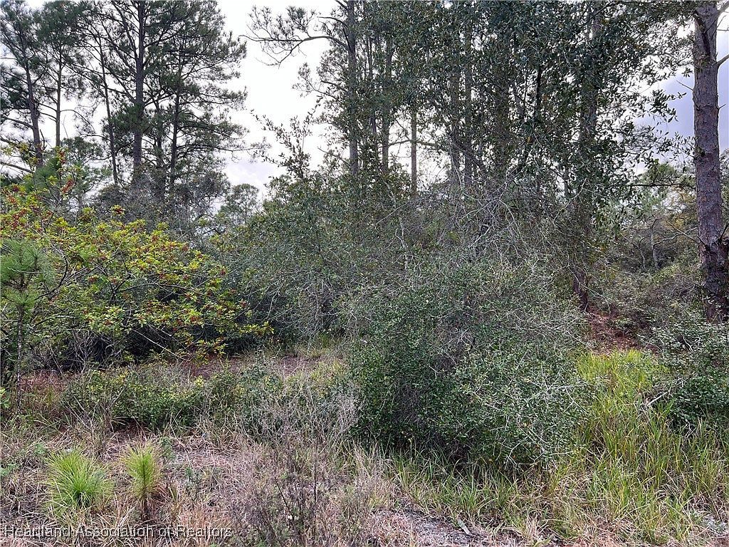 354 Summer Hill Dr Lake Placid, FL 33852 | Land/Lot