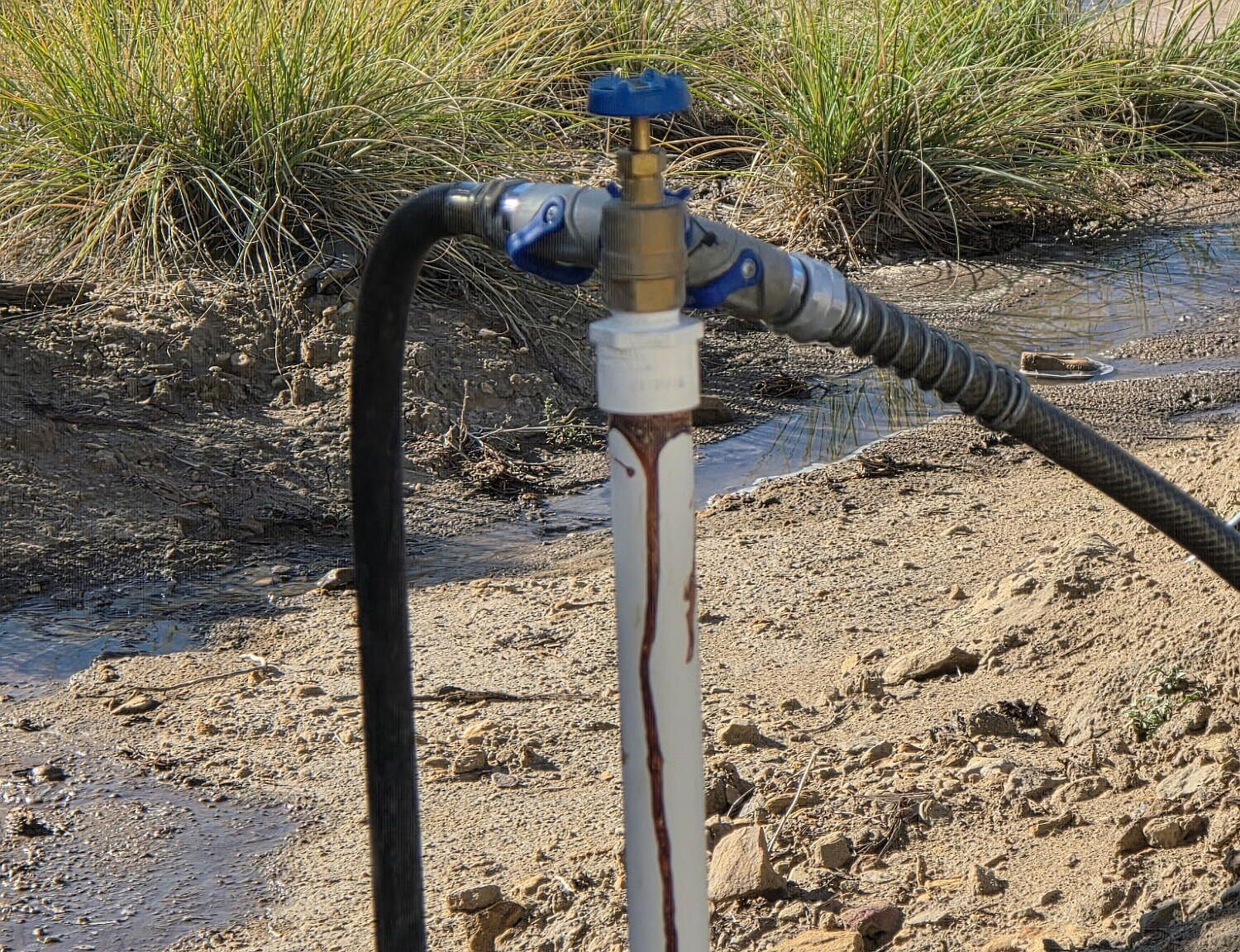 310 N County Road 6726 #430 Saint Johns, AZ 85936 | Land/Lot