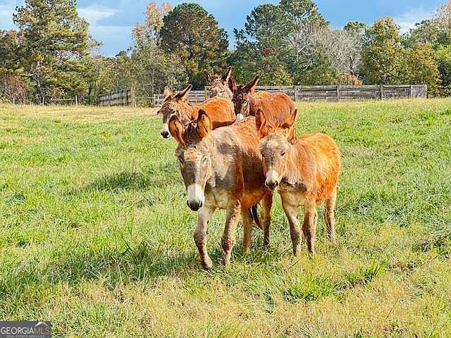 TRACT 1 Highway 129 Eatonton, GA 31024  | Land/Lot