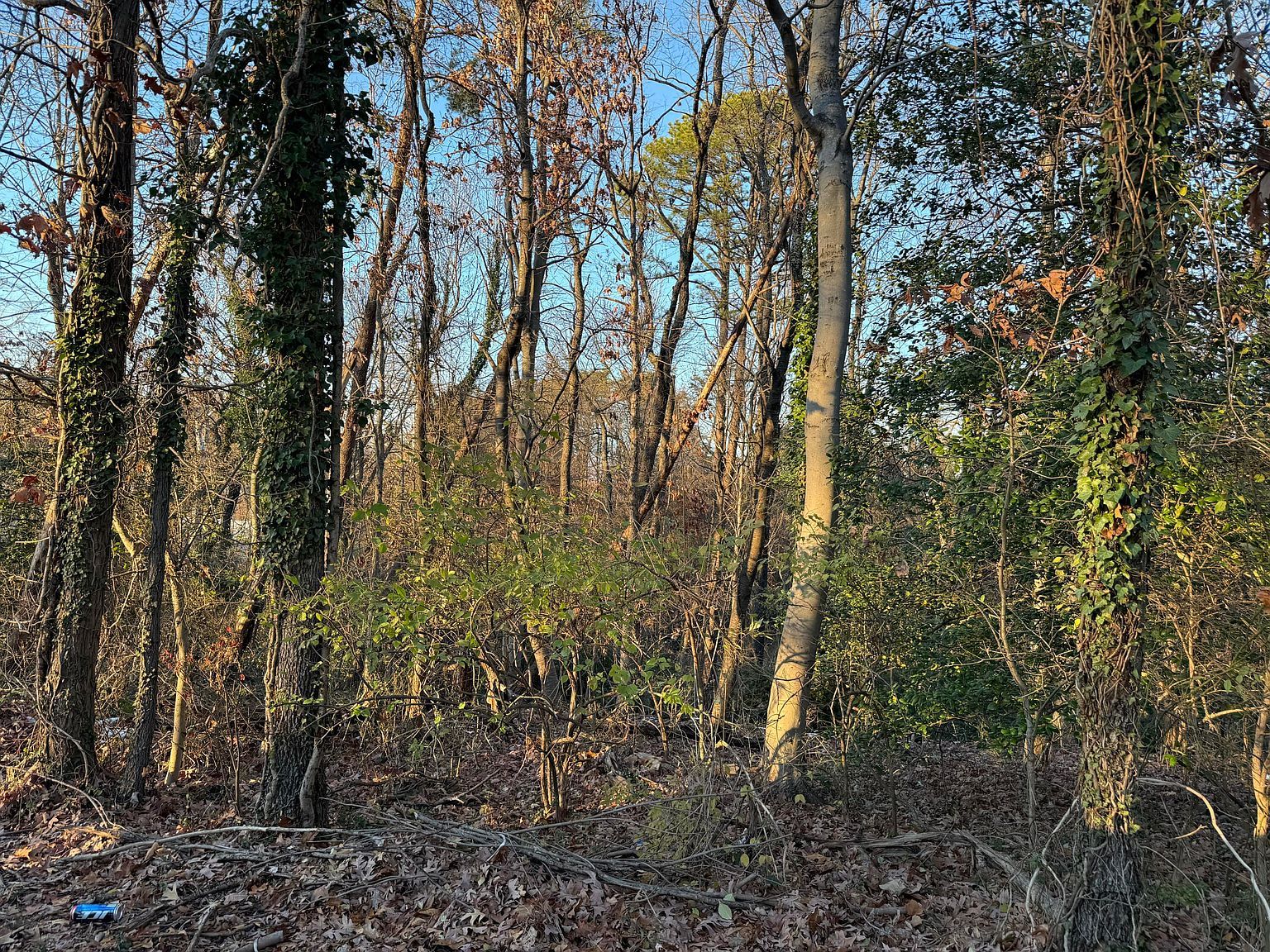 0 Panorama Ave NW Lot 6 Roanoke, VA 24017  | Land/Lot