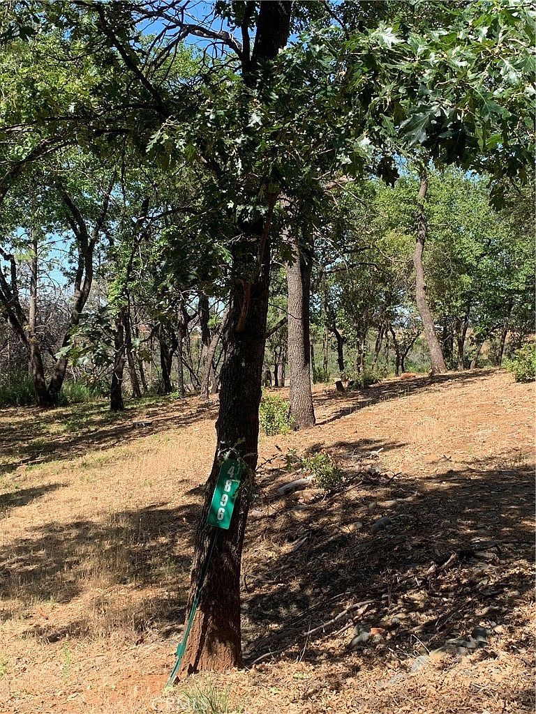 4896 Malibu Dr Paradise, CA 95969  | Land/Lot
