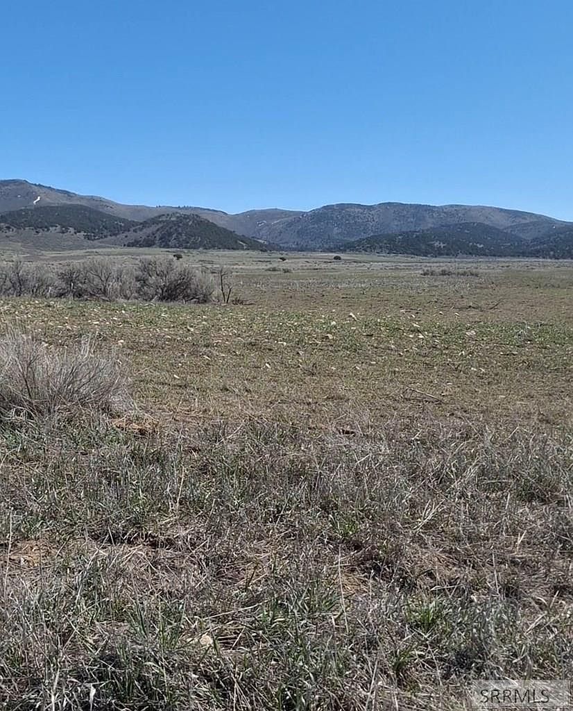 Talmage Rd Bancroft, ID 83217  | Land/Lot