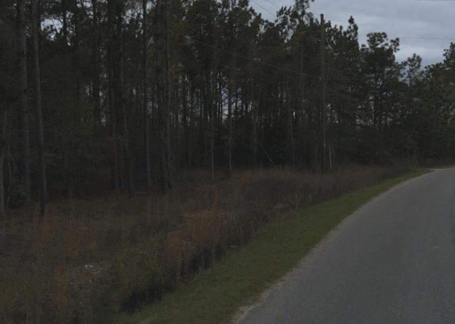 0 Dike Rd, Bonneau, SC, 29431  | Land/Lot