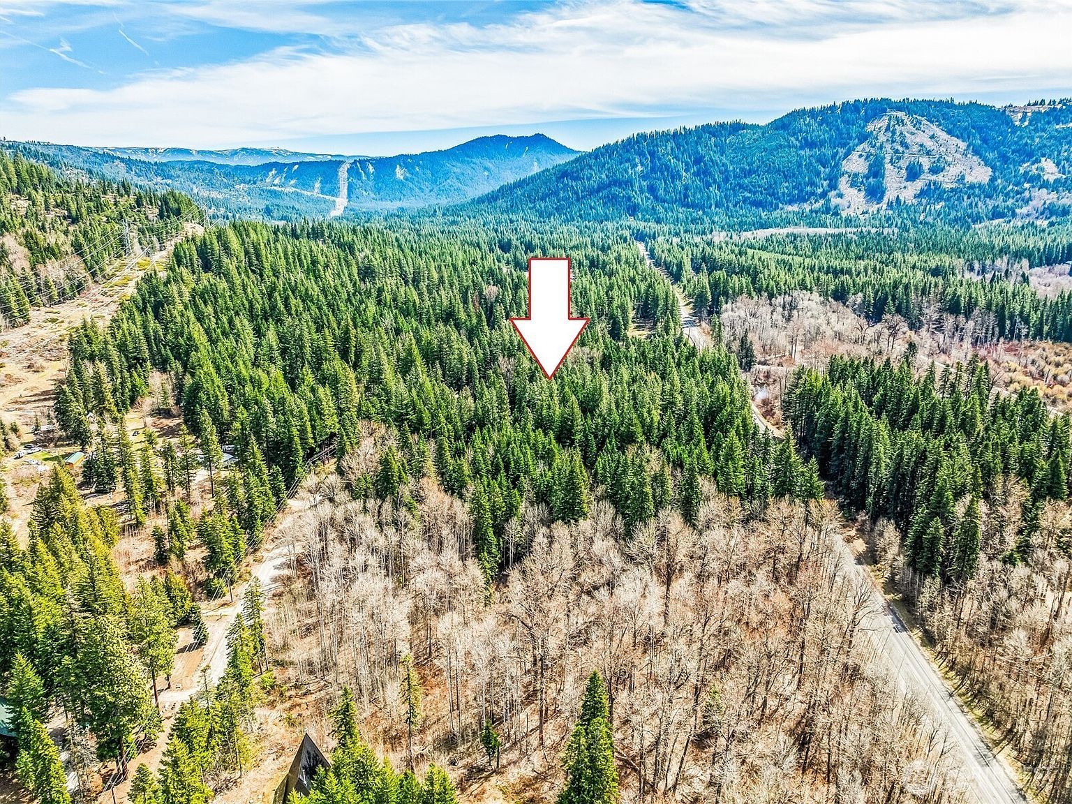 1111 Nason Ridge Rd Leavenworth, WA 98826  | Land/Lot