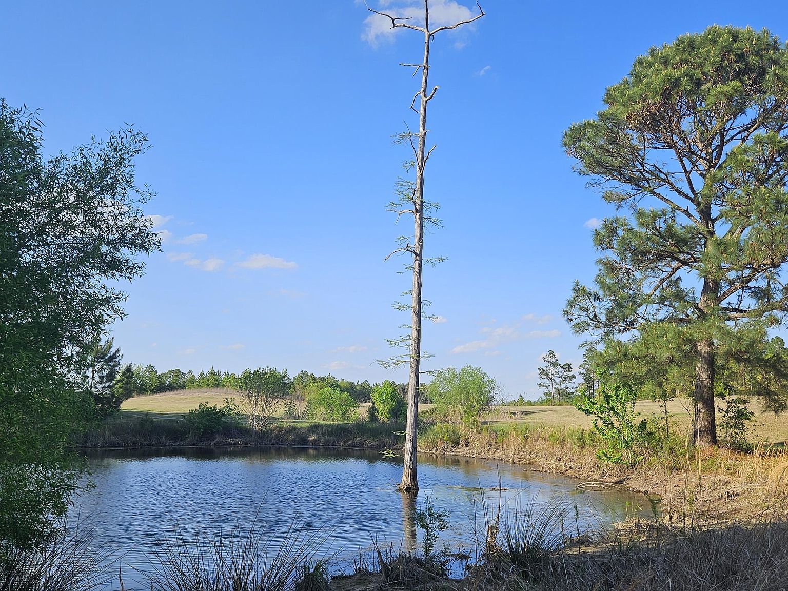 1 Old Tom Morris Rd Garland, NC 28441  | Land/Lot