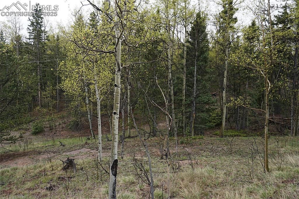 Vacant Land Cripple Creek, CO 80813 | Land/Lot