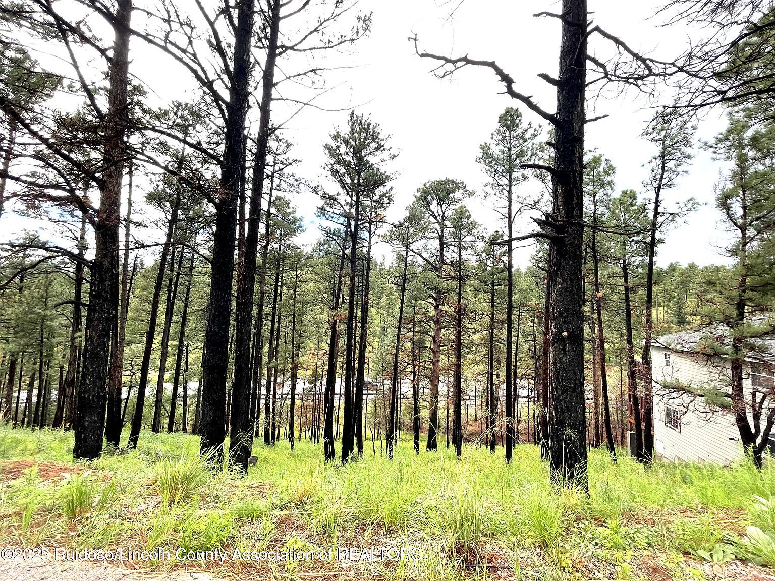 LOT 12 Brentwood Dr Alto, NM 88312  | Land/Lot