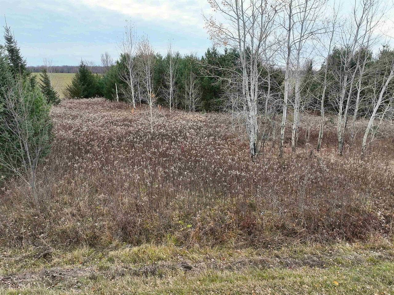 5 Center Rd Merrill, WI 54452  | Land/Lot