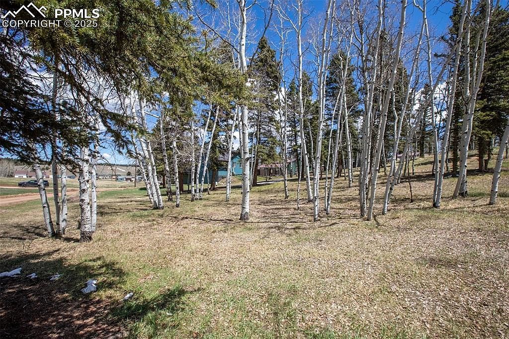 571 Will Scarlet Dr Divide, CO 80814 | Land/Lot