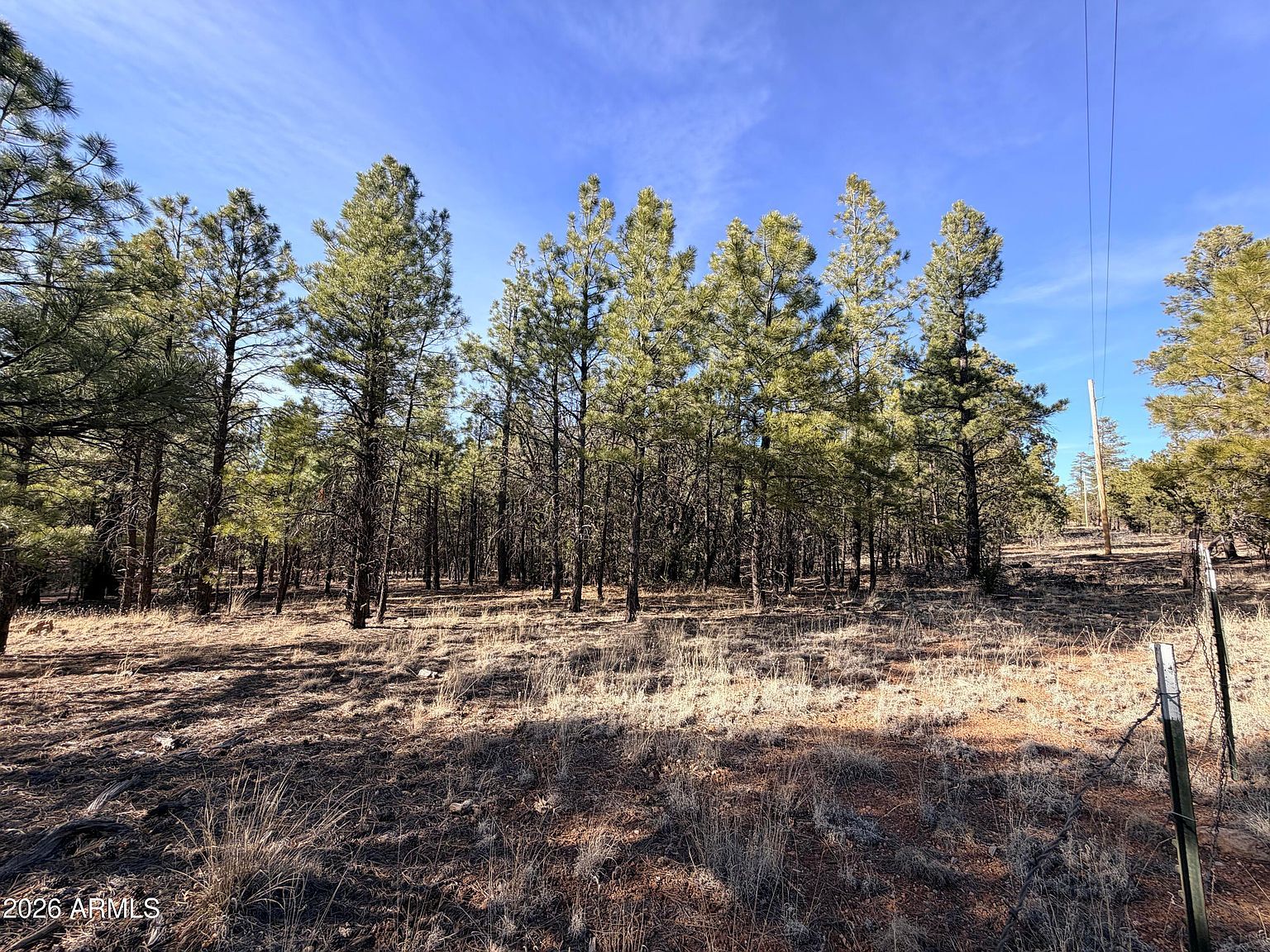 2397 Wigeon Way #6 Happy Jack, AZ 86024  | Land/Lot