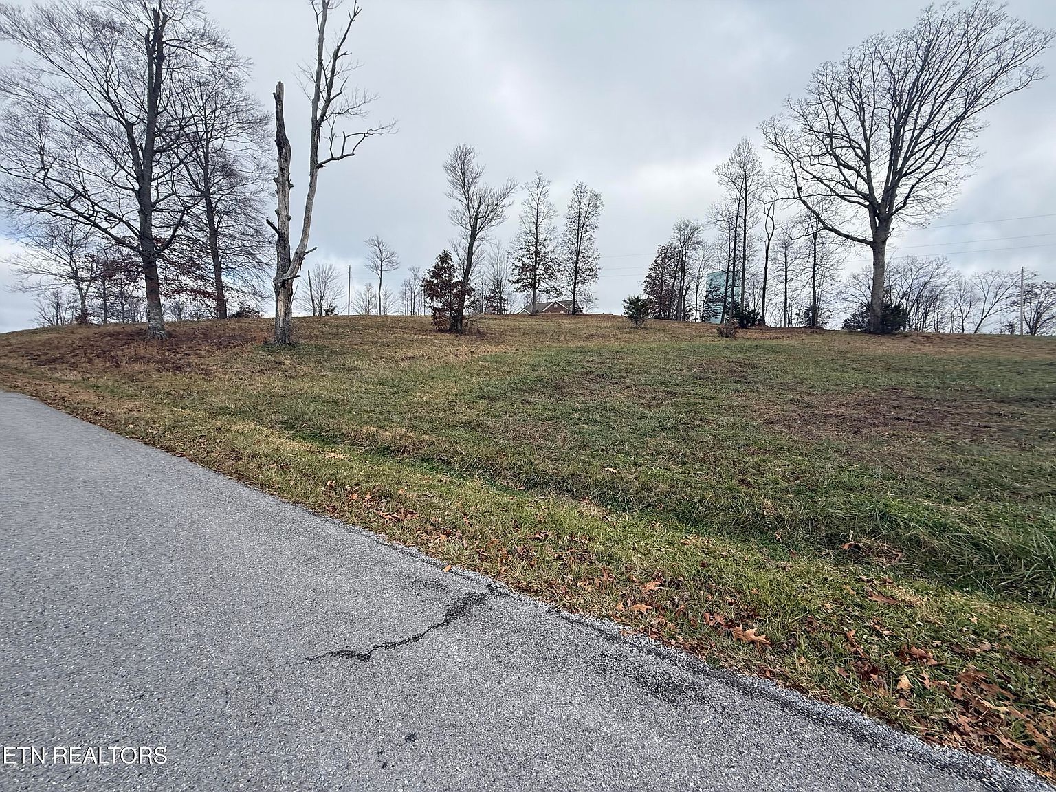 LOT 30 Oak Point Dr Jonesville, VA 24263 | Land/Lot