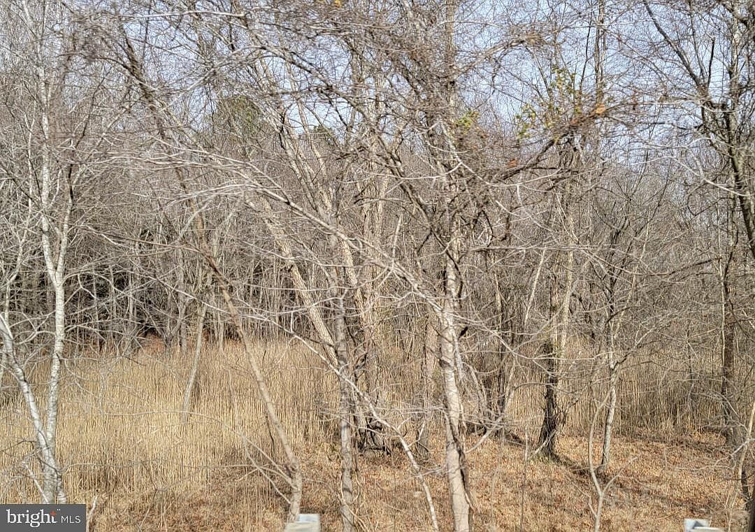 Saint Andrews Church Rd Leonardtown, MD 20650 | Land/Lot