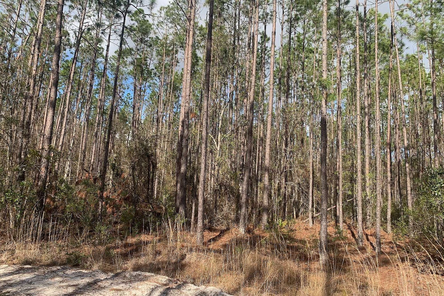 Tdb Northeast Dr #25 Jasper, FL 32052 | Land/Lot