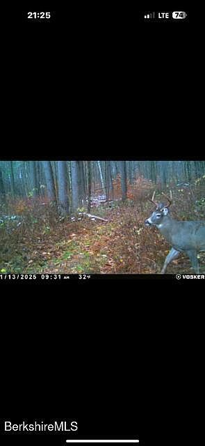 Churchill St Pittsfield, MA 01201  | Land/Lot