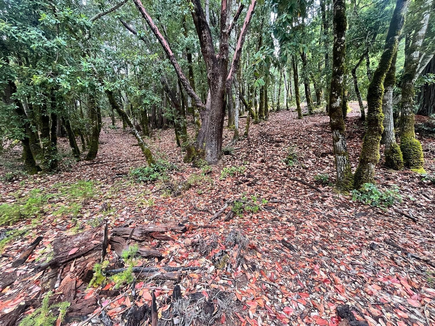 1817 Clover Dr Willits, CA 95490  | Land/Lot