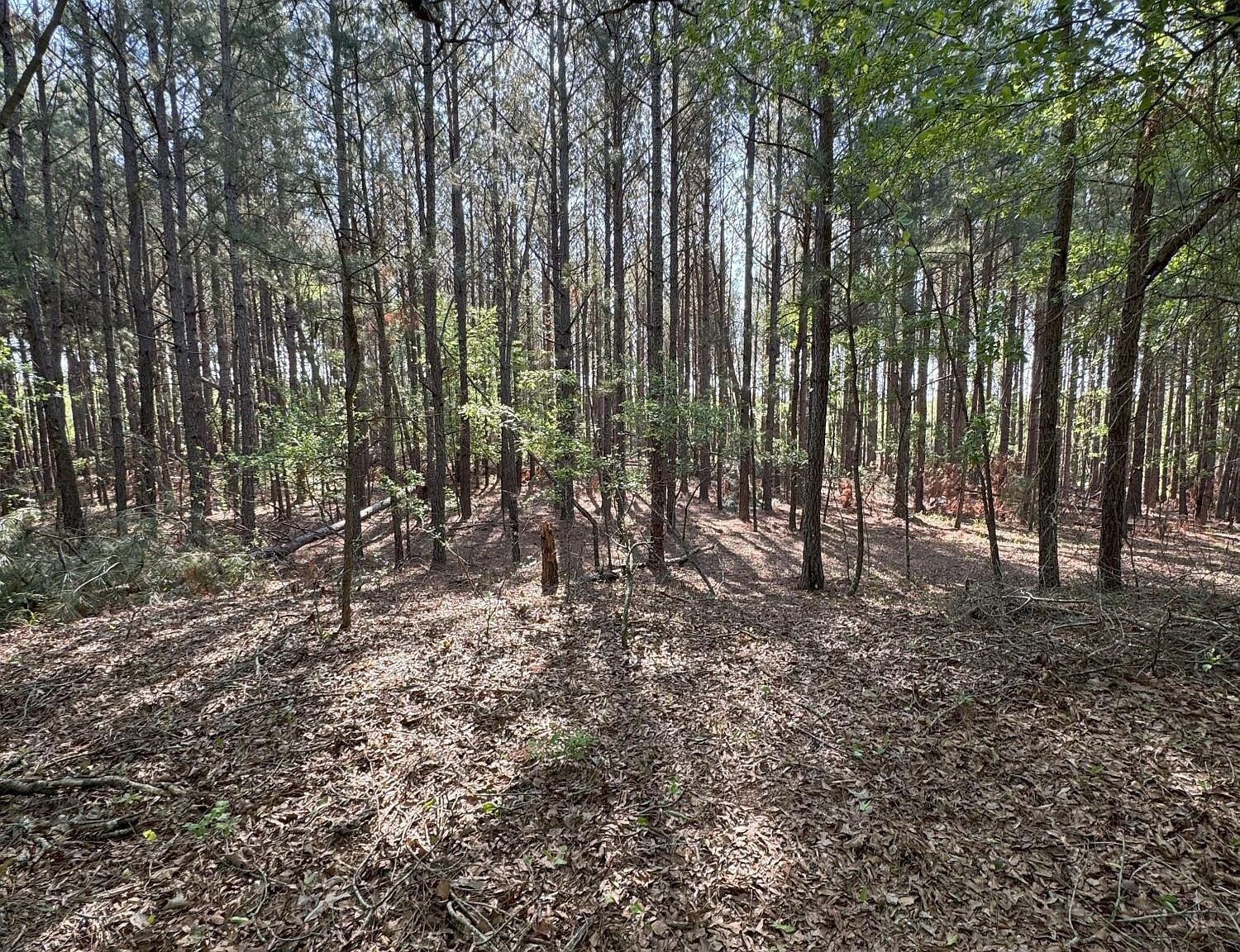 0 Middleground Rd Louisville, GA 30434  | Land/Lot
