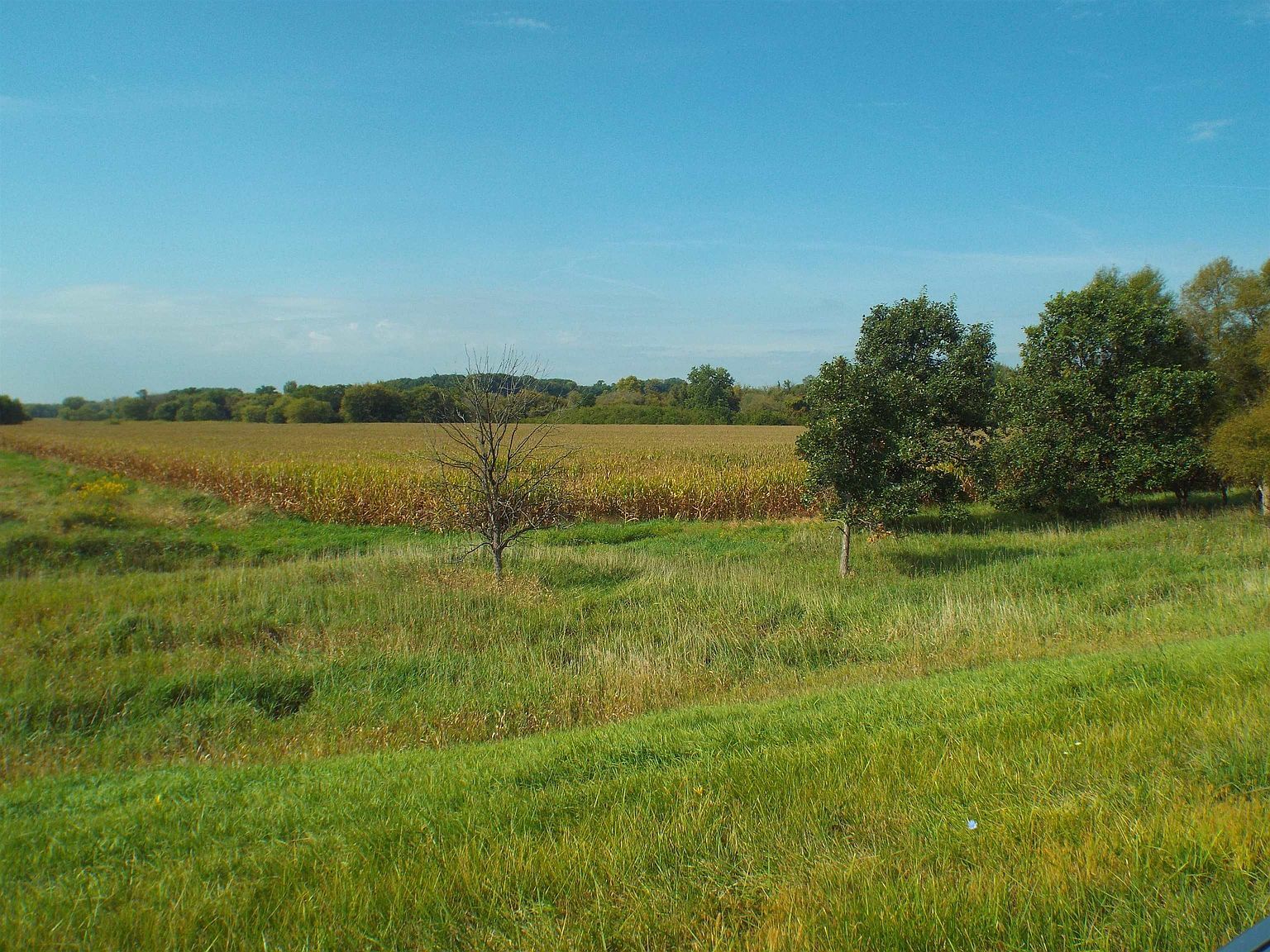 State Route 26 N Orangeville, IL 61060  | Land/Lot