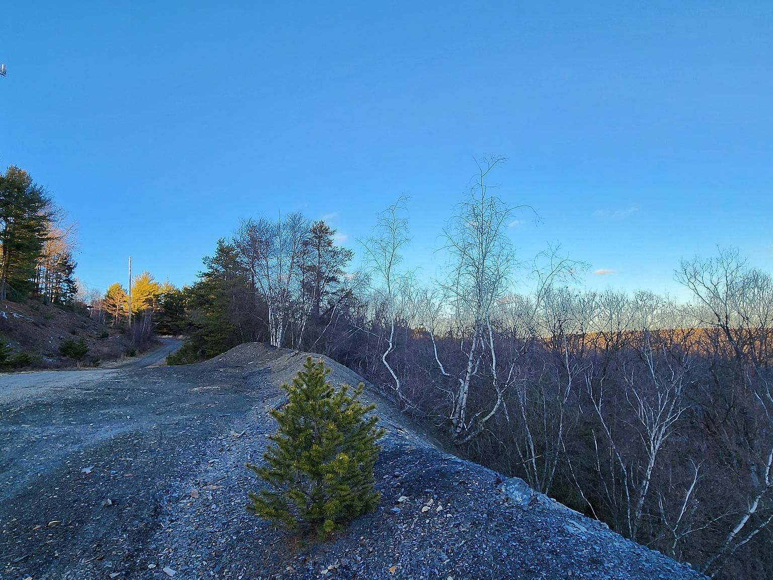 Berma Rd Drifting, PA 16834 | Land/Lot