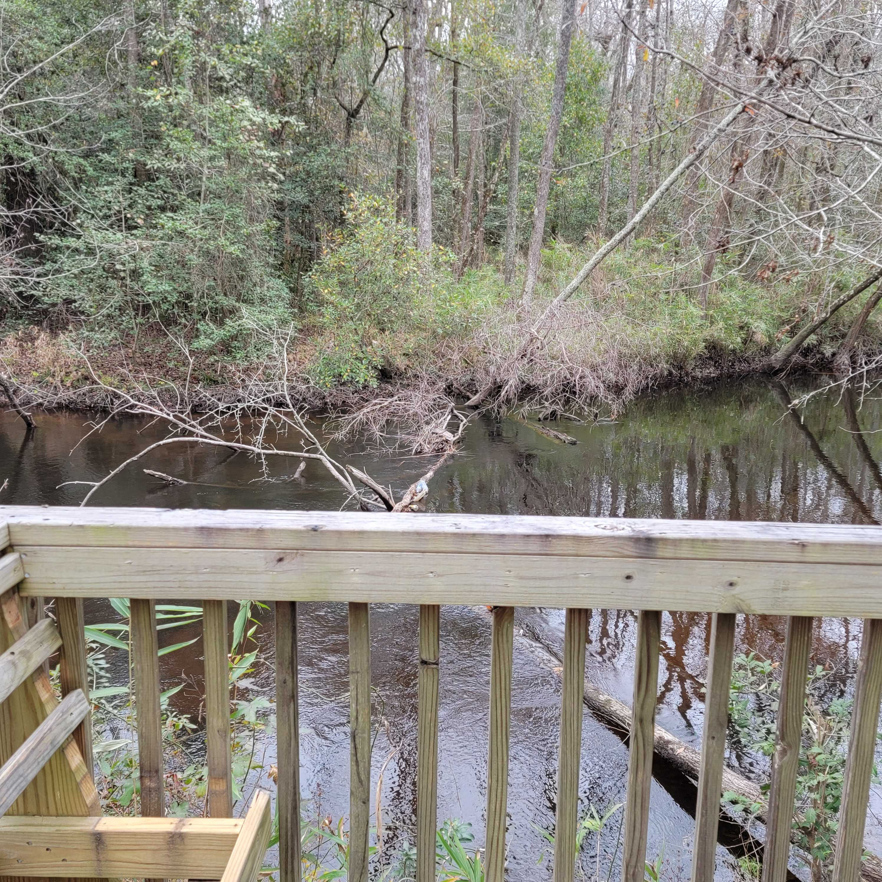 339 Greens Bridge Road, Leesville, SC, 29070  | Land/Lot