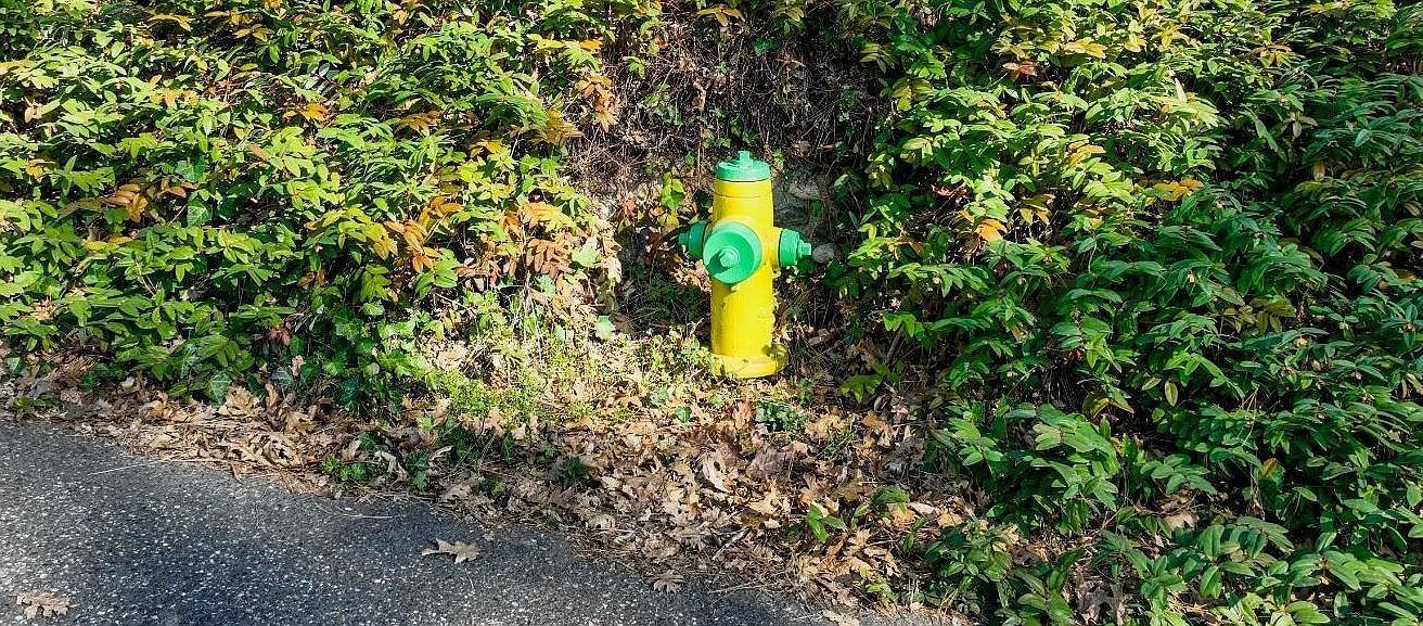 315 Hill St Grass Valley, CA 95945  | Land/Lot