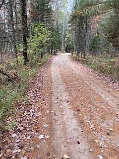 S Blue Springs Trl LOT 23 Falmouth, MI 49632  | Land/Lot