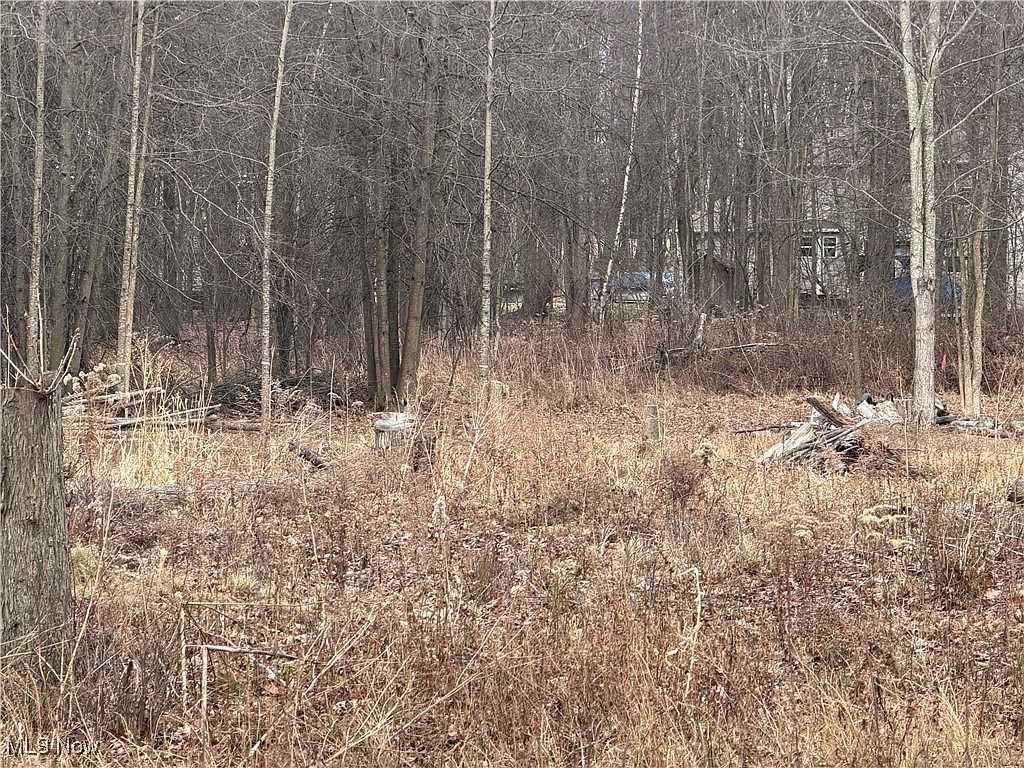 W Nevada Ave Sebring, OH 44672  | Land/Lot