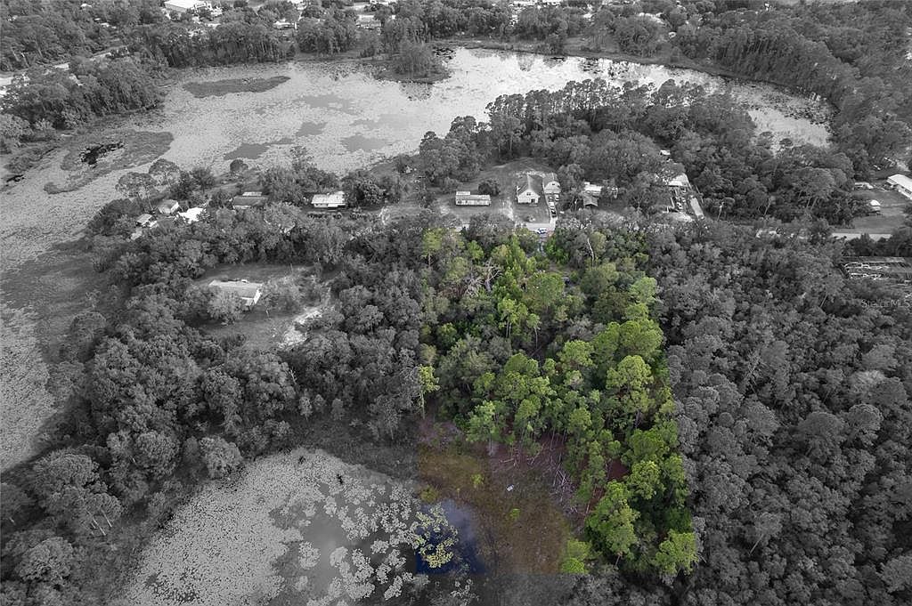 31615 Pinecrest Rd Eustis, FL 32736 | Land/Lot