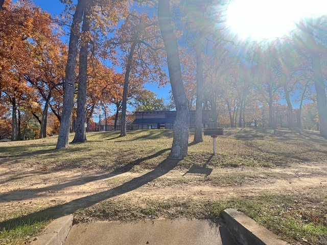Oakwood Drive, Trinidad, TX, 75163 - Thumbnail 4