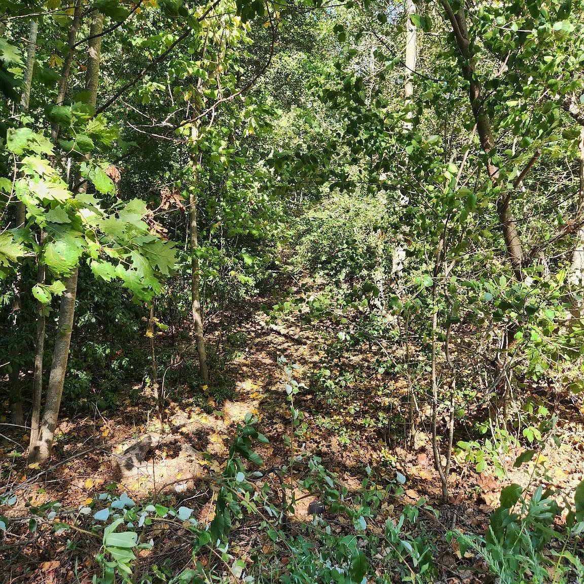 513 Cody Trl Lusby, MD 20657  | Land/Lot