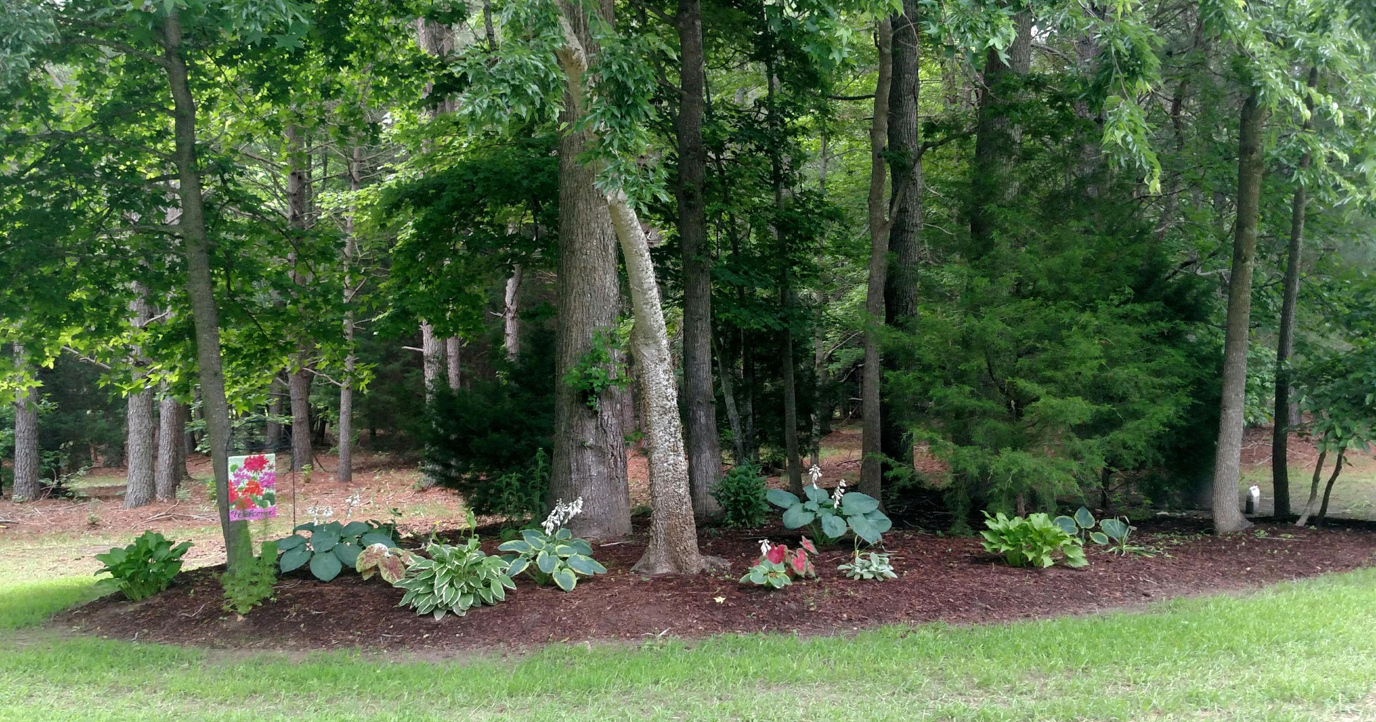 Franktown, VA, USA, 23354  | Single Family