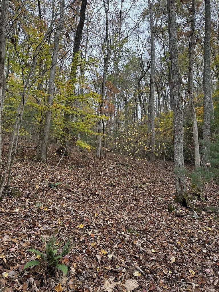 0 Heritage Trl Brasstown, NC 28902  | Land/Lot