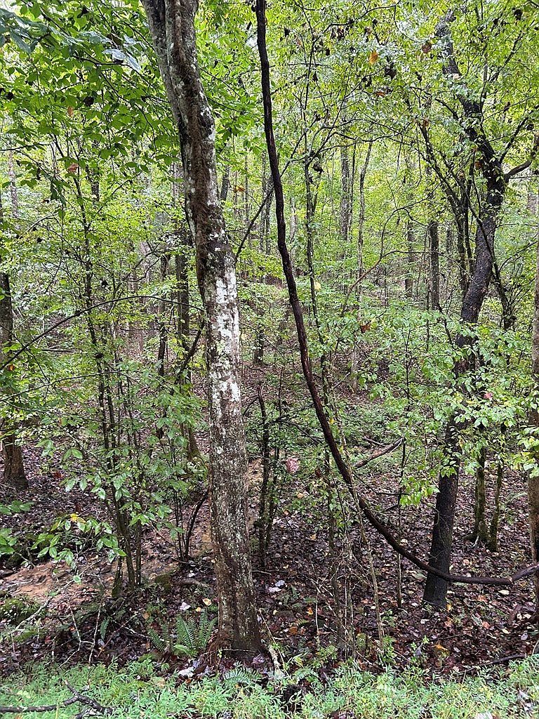 0 Johnsonville Rd Murphy, NC 28906  | Land/Lot