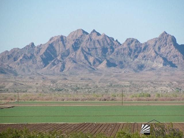 35870 E McElhaney Dr Wellton, AZ 85356 | Land/Lot