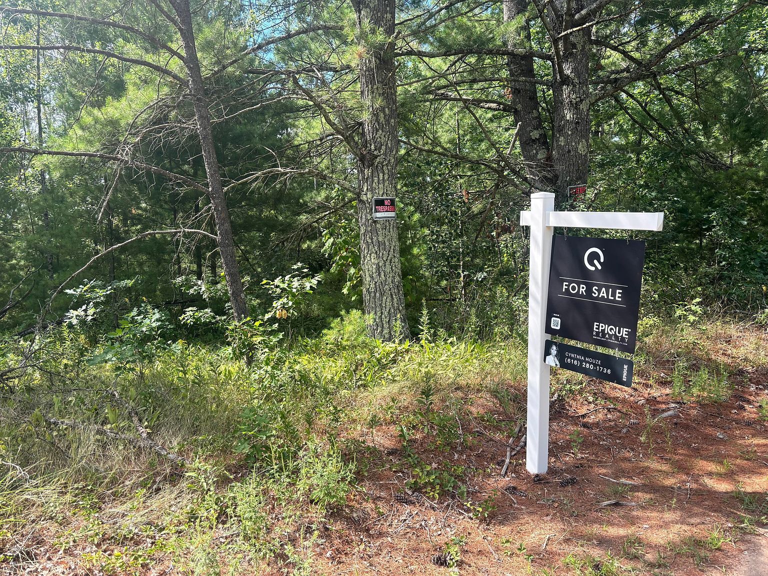 8283 S Harperwoods St #3 Idlewild, MI 49642  | Land/Lot