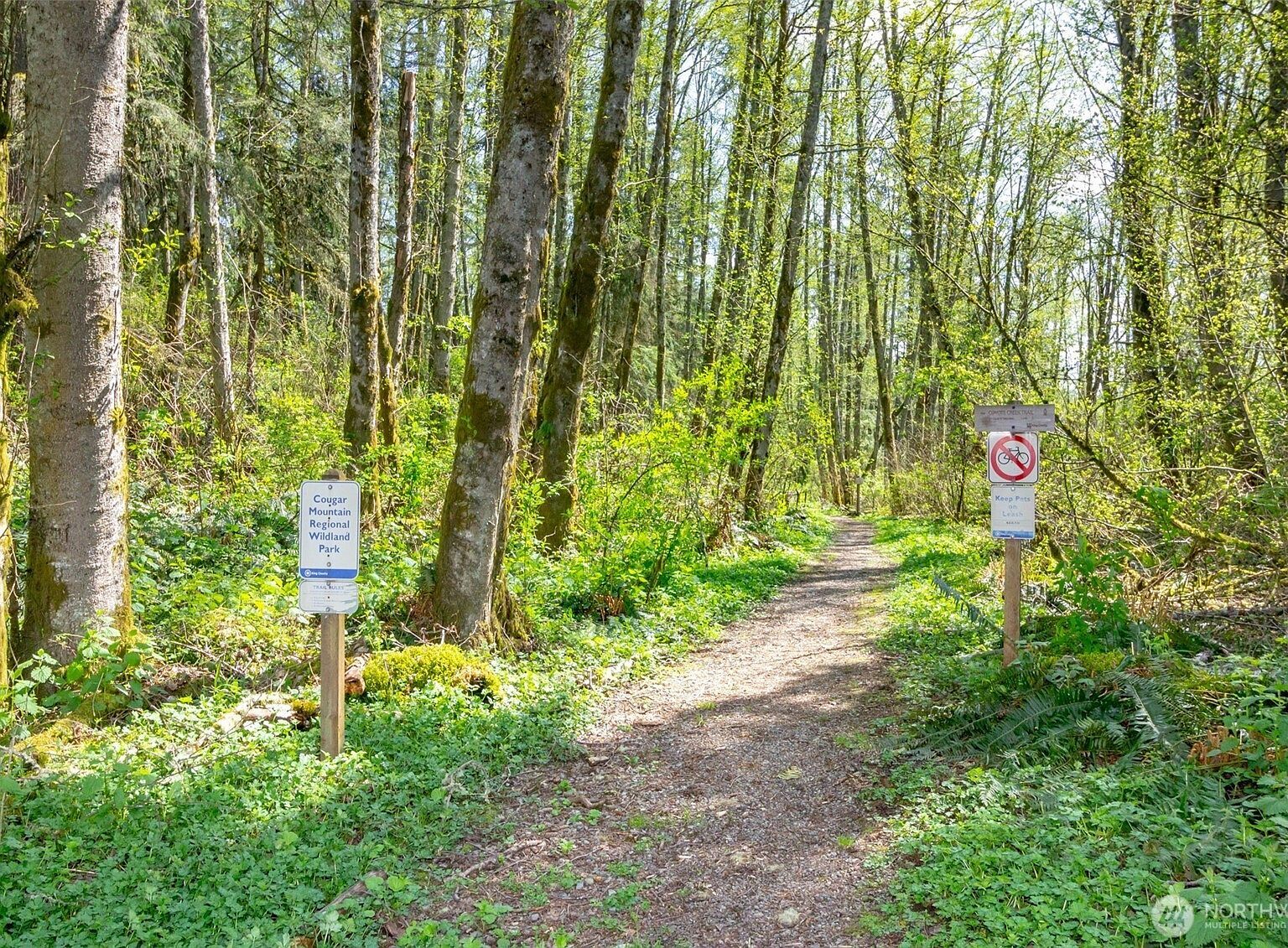 17600 SE Cougar Mountain Dr Issaquah, WA 98027 | Land/Lot