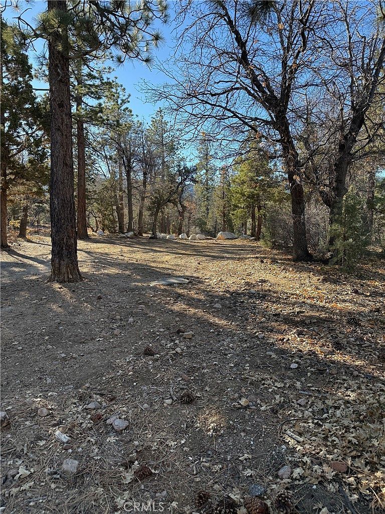 0 San Bernardino Ave LOT 5 Sugarloaf, CA 92386  | Land/Lot