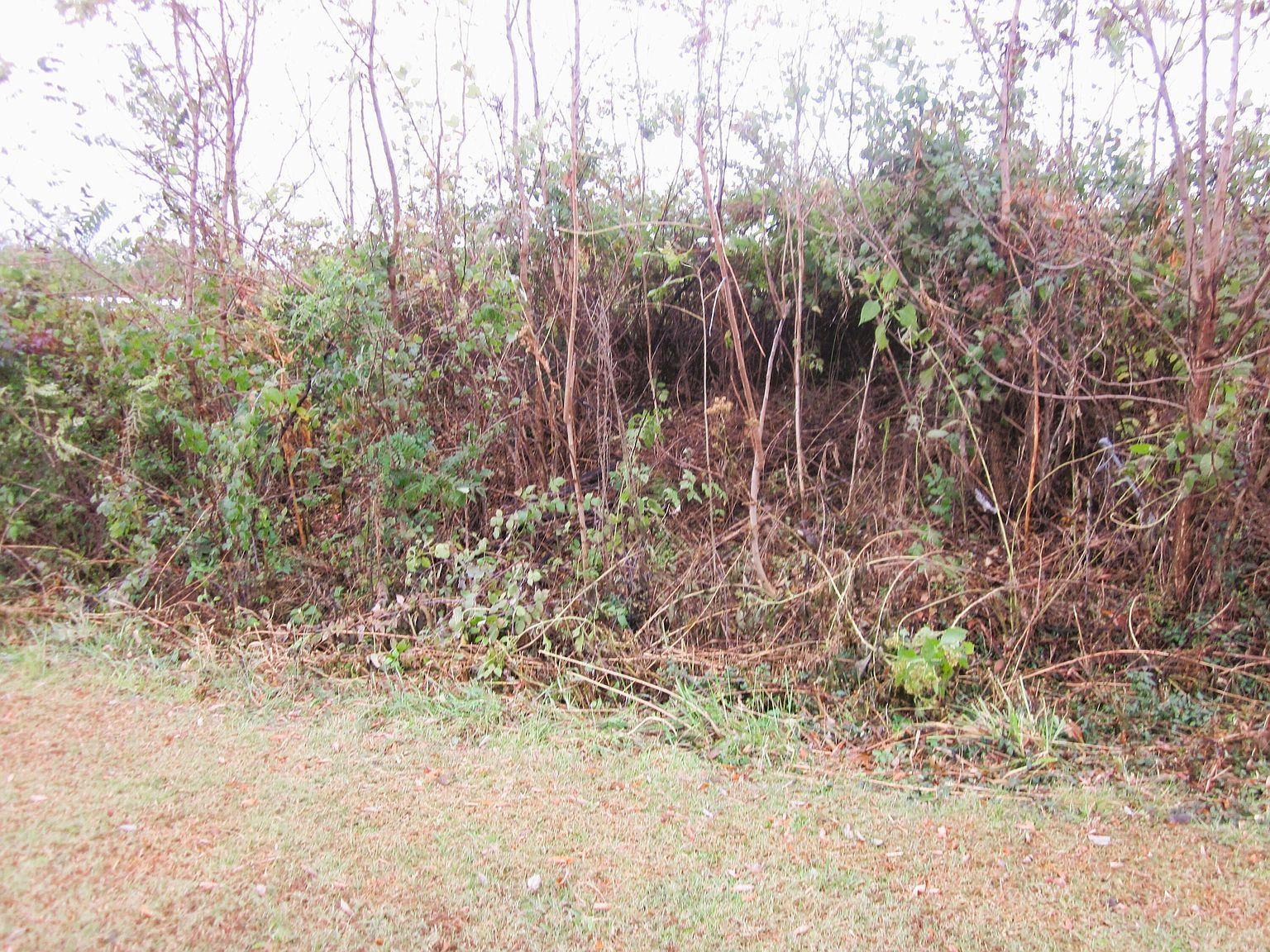Highfield Rd LOT 4 Rocky Mount, VA 24151  | Land/Lot