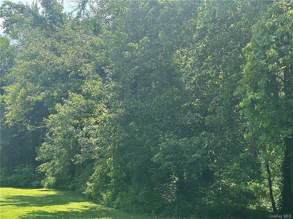 Chelsea Rd Chelsea, NY 12512 | Land/Lot