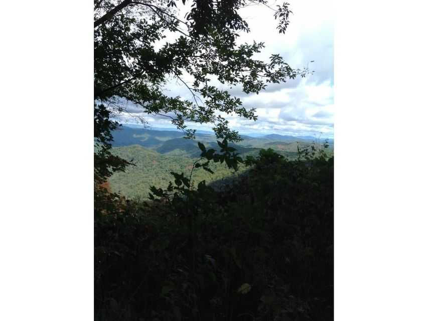 Rustic Log Cabin Lane, Roan Mountain, TN, USA, 37687  | Land/Lot