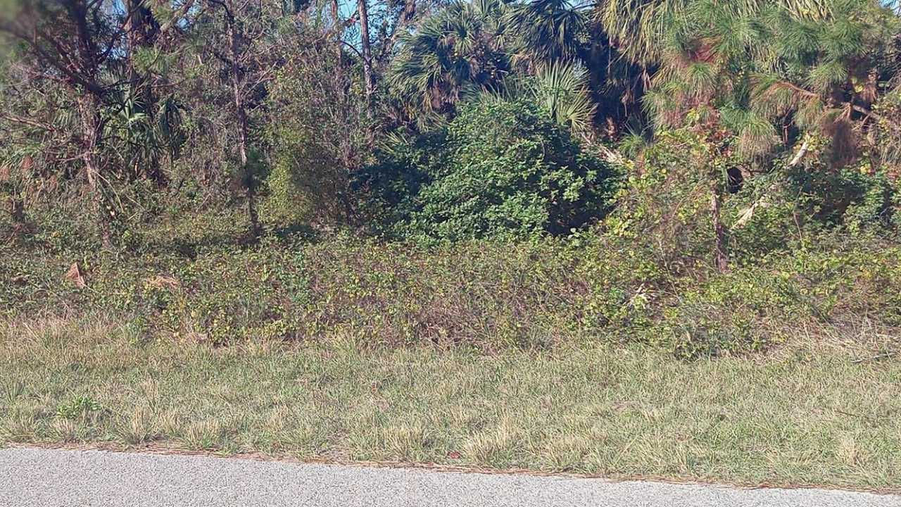 Palestine Rd, North Port, FL 34288, USA  | Land/Lot