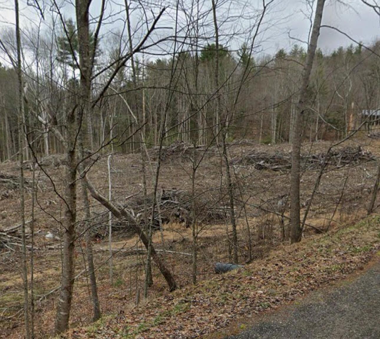 0 Hiddenwood Dr Mountain City, TN 37683  | Land/Lot