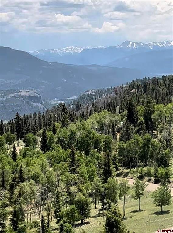 4693 Blue Mesa Dr Powderhorn, CO 81243  | Land/Lot