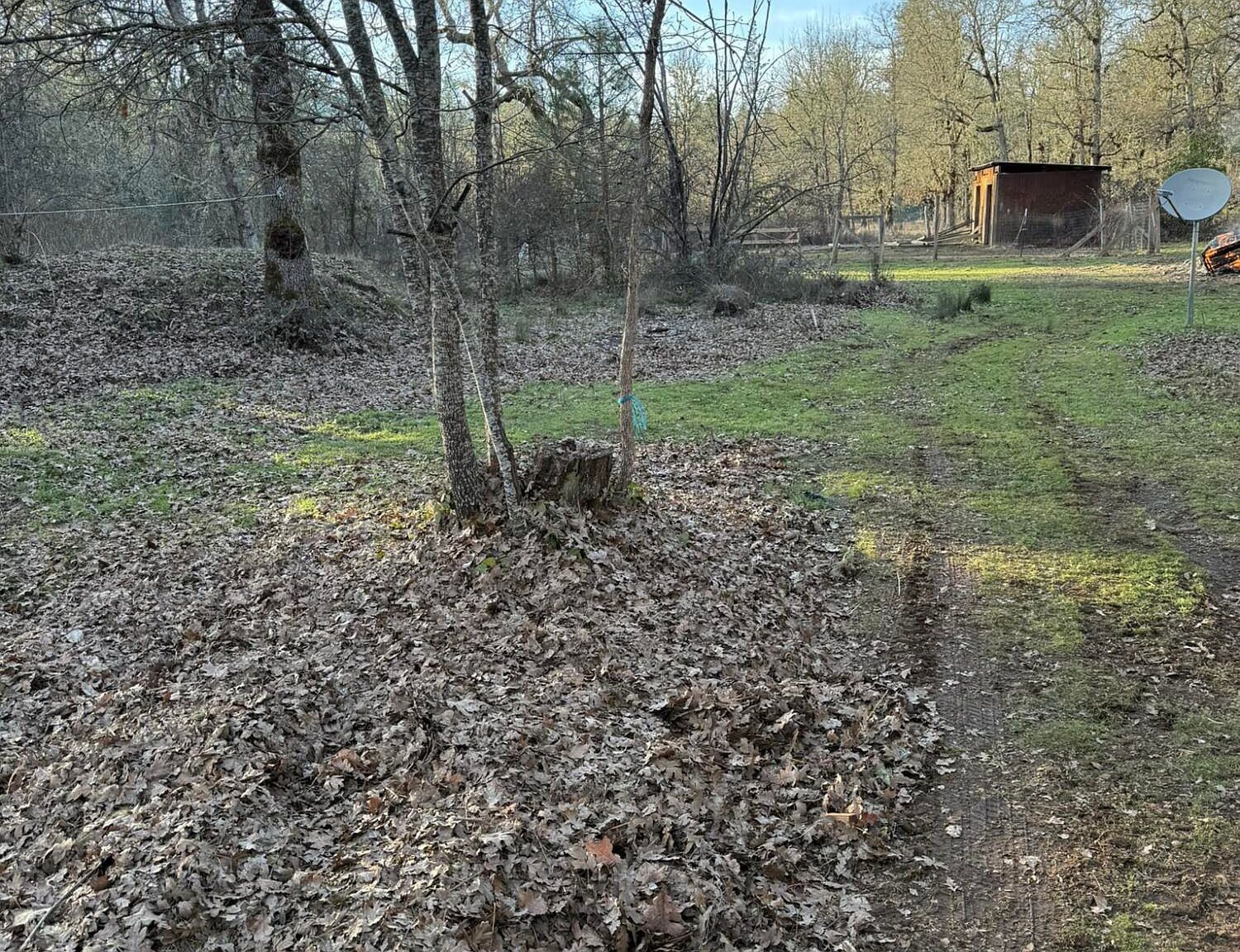 3759 Dick George Rd Cave Junction, OR 97523  | New build