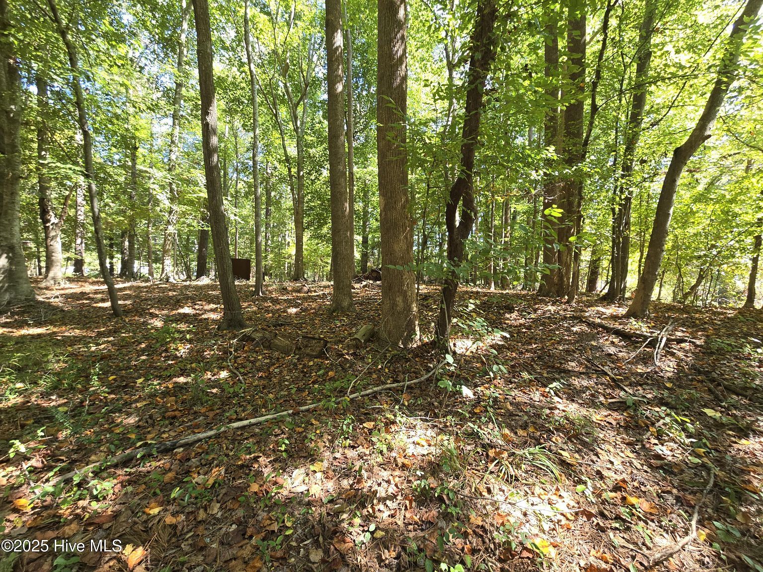 3334-33 & #34 Hertford, NC 27944 | Land/Lot