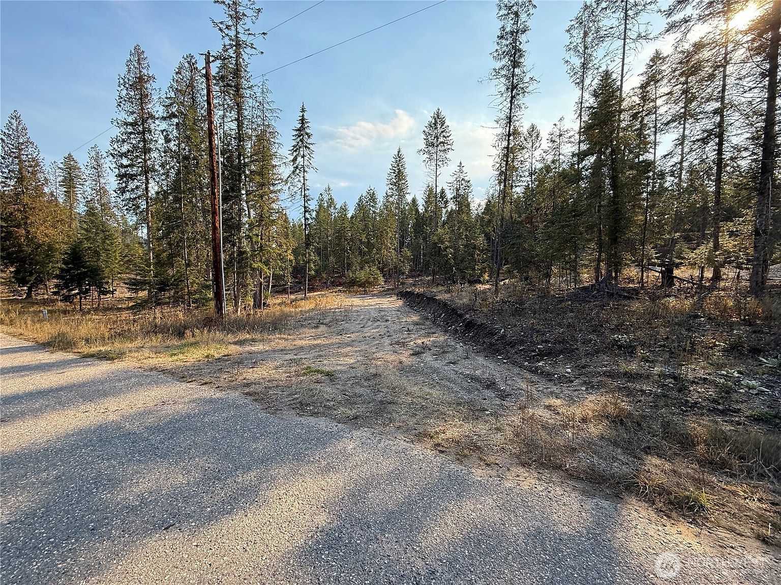465 Arthurs Blvd Cusick, WA 99119  | Land/Lot