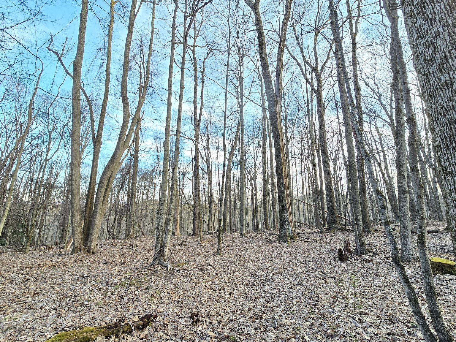 Pointe D Enfer Rd LOT 210 Du Bois, PA 15801 | Land/Lot